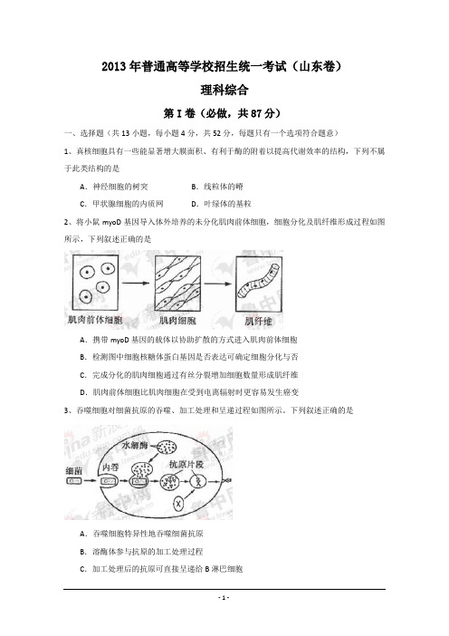 2013年全国高考理综试题及答案-山东卷