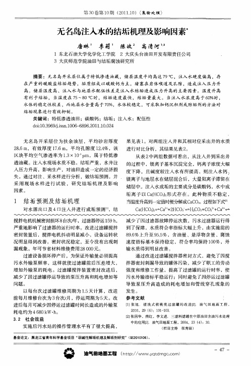 无名岛注入水的结垢机理及影响因素