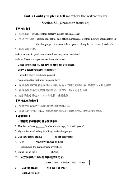 新目标英语九年级上册Unit 3  Section A3 (Grammar focus-4c)