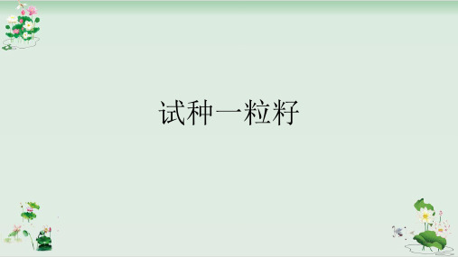 二年级下册道德与法治课件试种一粒籽人教新版12