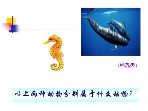 陆地生活的动物PPT课件18