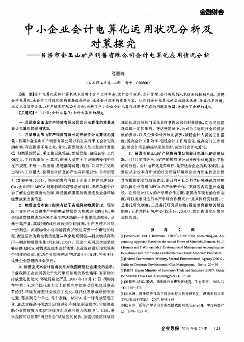 中小企业会计电算化运用状况分析及对策探究——吕梁市金玉山矿产销售有限公司会计电算化应用情况分析