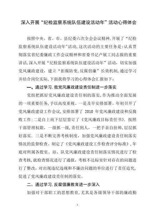 深入开展纪检监察系统队伍建设年活动心得体会