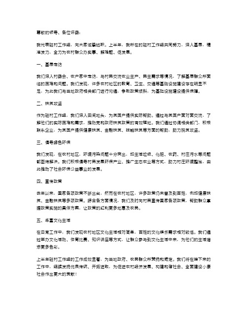 上半年驻村工作组述职报告