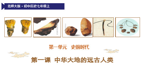 中华大地的远古人类ppt24 北师大版