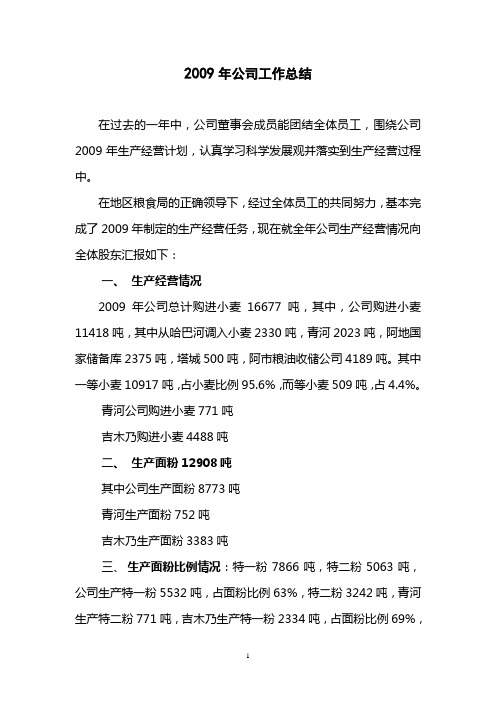 2009年公司工作总结