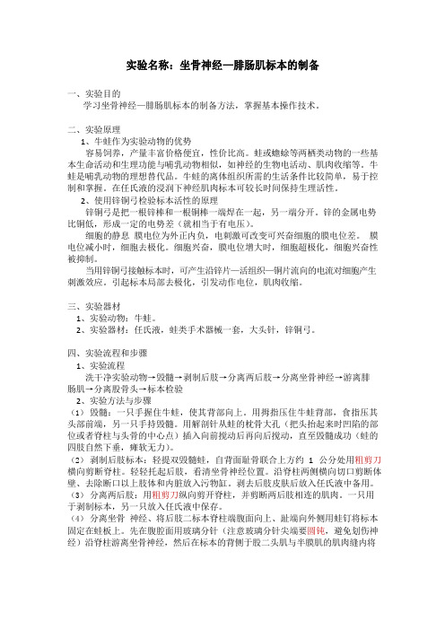 坐骨神经—腓肠肌标本的制备