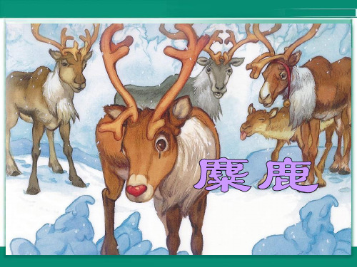 《麋鹿》ppt课件