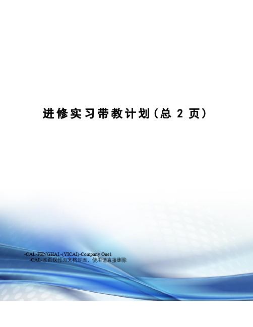 进修实习带教计划