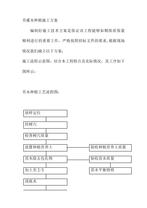 乔灌木种植施工方案