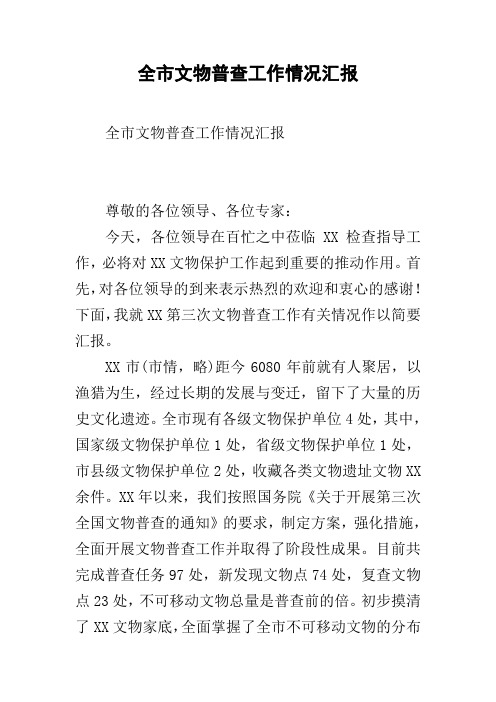 全市文物普查工作情况汇报