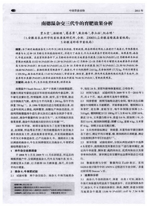 南德温杂交三代牛的育肥效果分析