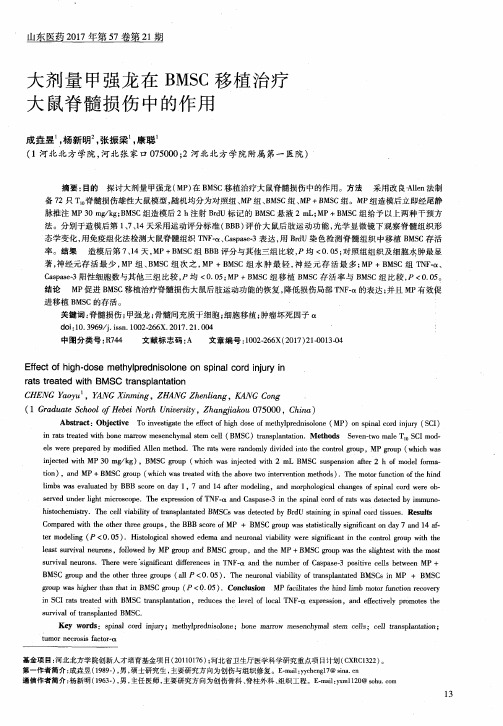 大剂量甲强龙在BMSC移植治疗大鼠脊髓损伤中的作用