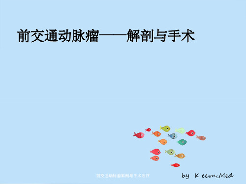 前交通动脉瘤解剖与手术治疗