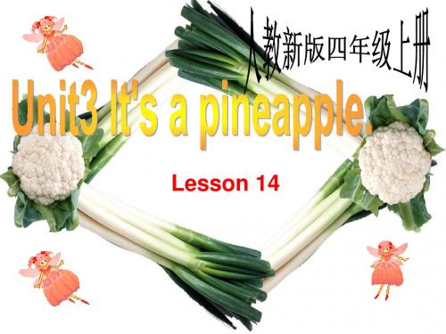 人教精通版英语四上Unit 3《It’s a pineapple》(Lesson 14)ppt课件