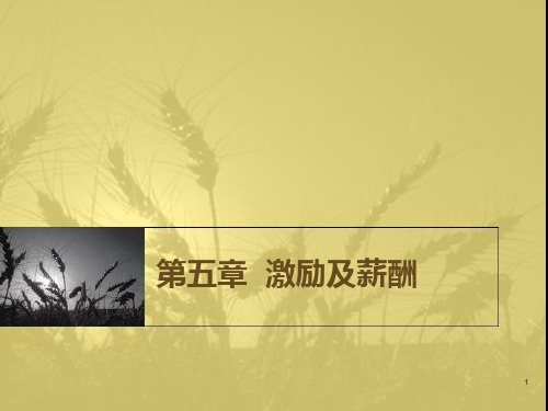 第五章  激励与薪酬制度PPT课件