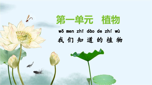 一年级上科学课堂课件第一单元《我们知道的植物》教科版