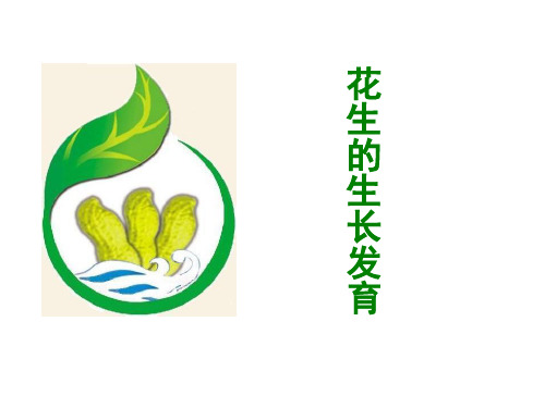 花生、草莓、火龙果的生长