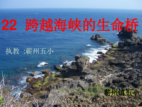 跨越海峡的生命桥PPT课件
