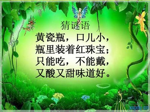 苏教版三上语文16石榴课件.ppt3