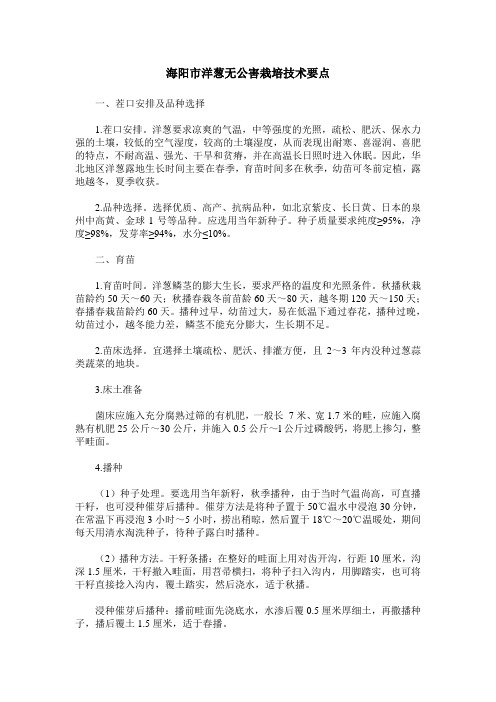 海阳市洋葱无公害栽培技术要点