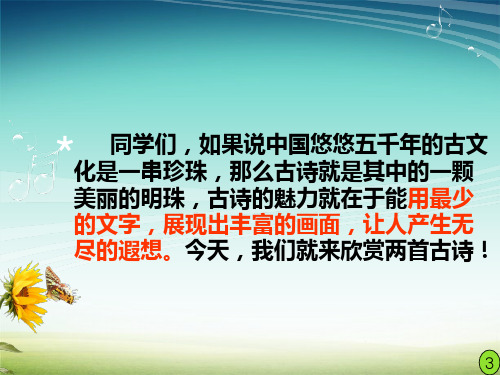 古诗两首《寻隐者不遇》《所见》