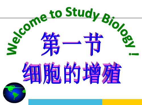 公开课-细胞增殖课件