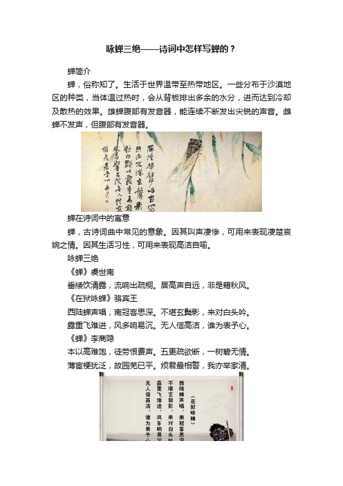 咏蝉三绝——诗词中怎样写蝉的？