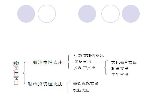 财政学消费性支出