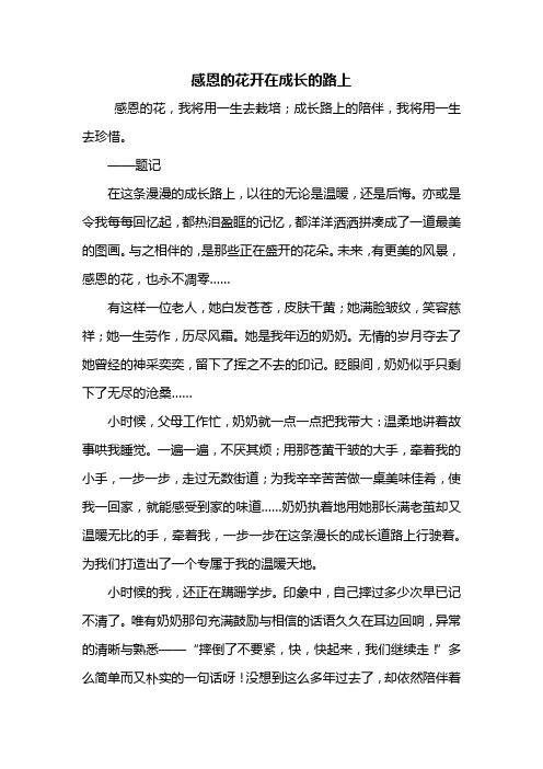 初二作文：感恩的花开在成长的路上作文