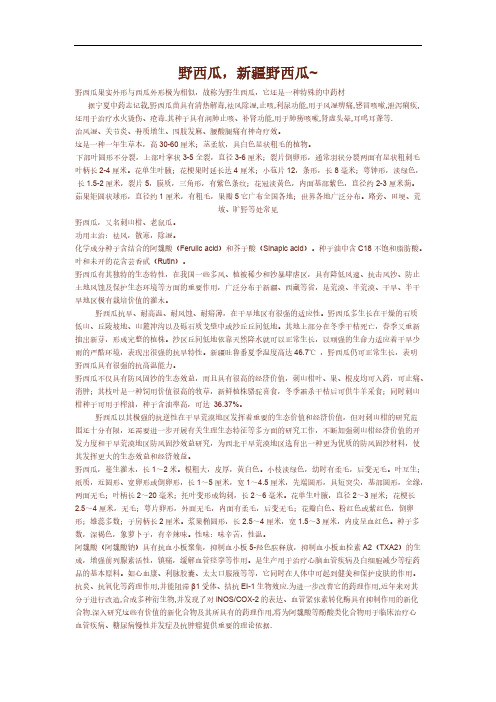 【免费下载】野西瓜的用法