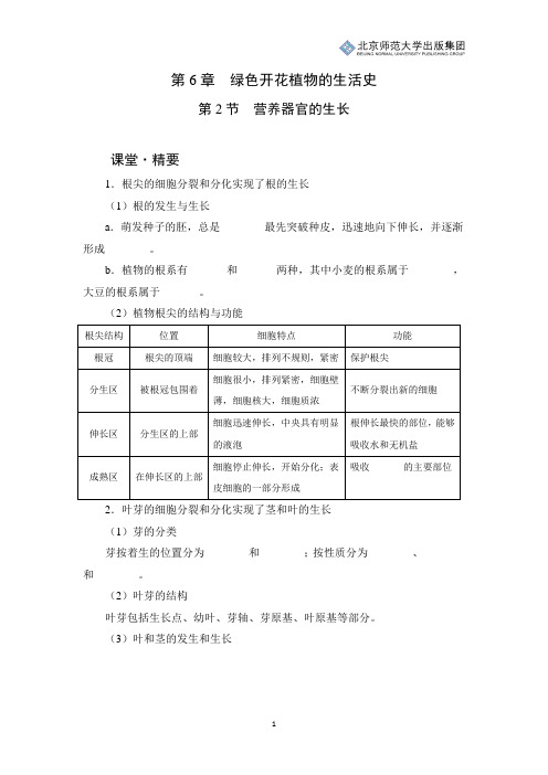北师版生物七年级上册第6章第2节《营养器官的生长》课堂精练