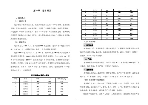 5、通济镇总规说明书