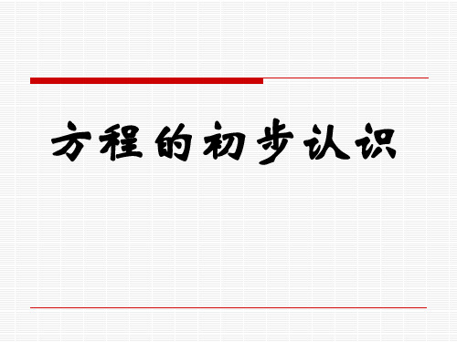 方程的认识