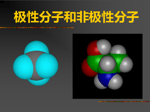 极性分子和非极性分子课件