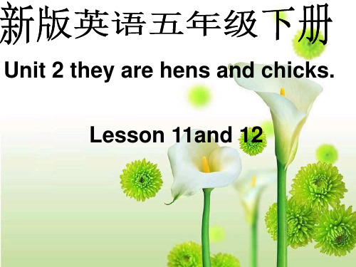 人教五下英语-人教新版英语五下Unit2theyarehensandchicksPPT课件