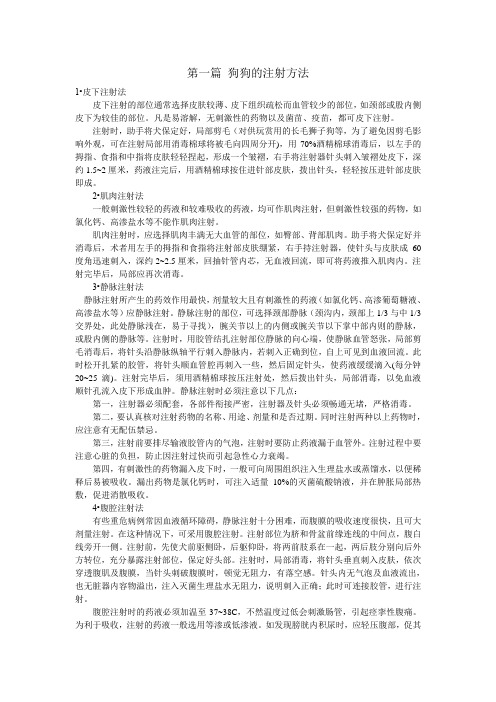 狗狗的注射方法