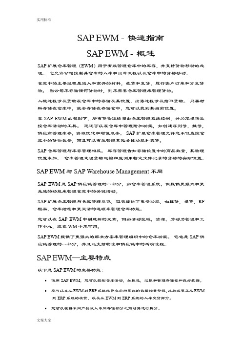SAPEWM-快速指南设计