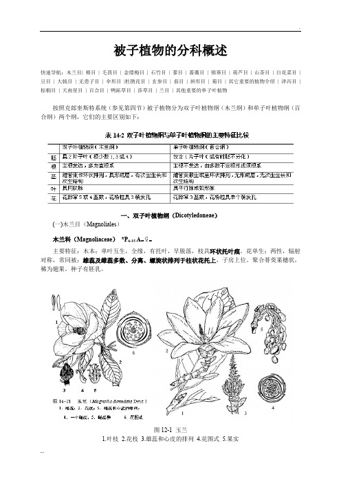 被子植物的分科概述