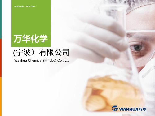 万华化学(宁波)煤气化运行优化总结