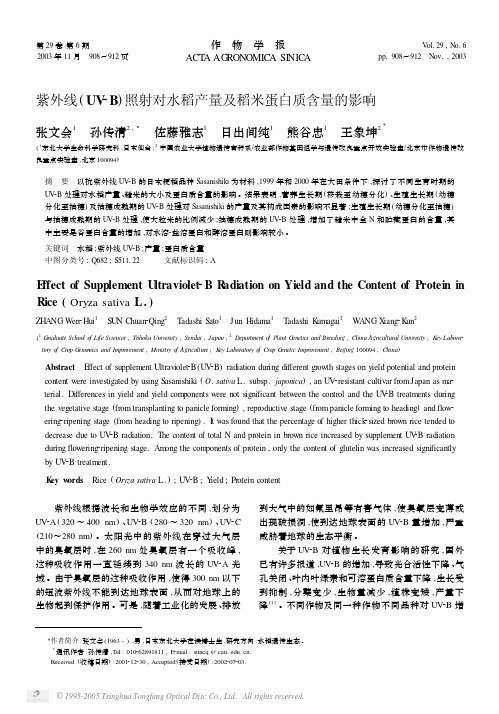 紫外线(UV-B)照射对水稻产量及稻米蛋白质含量的影响