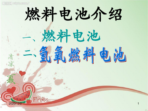 燃料电池讲解