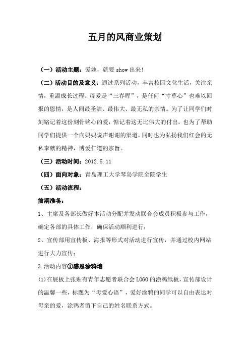 五月的风商业项目策划