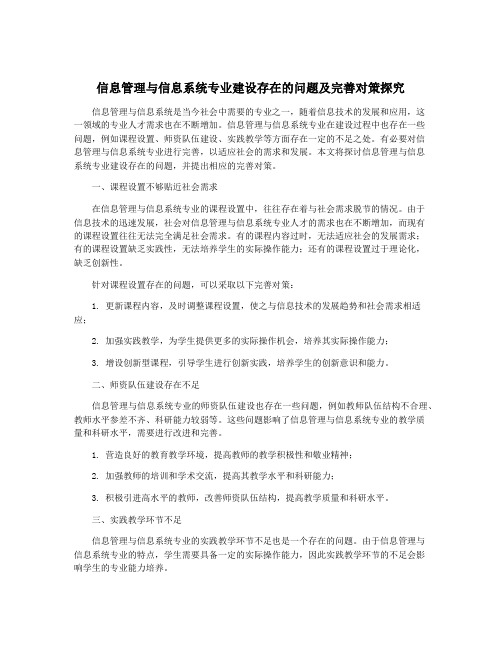 信息管理与信息系统专业建设存在的问题及完善对策探究