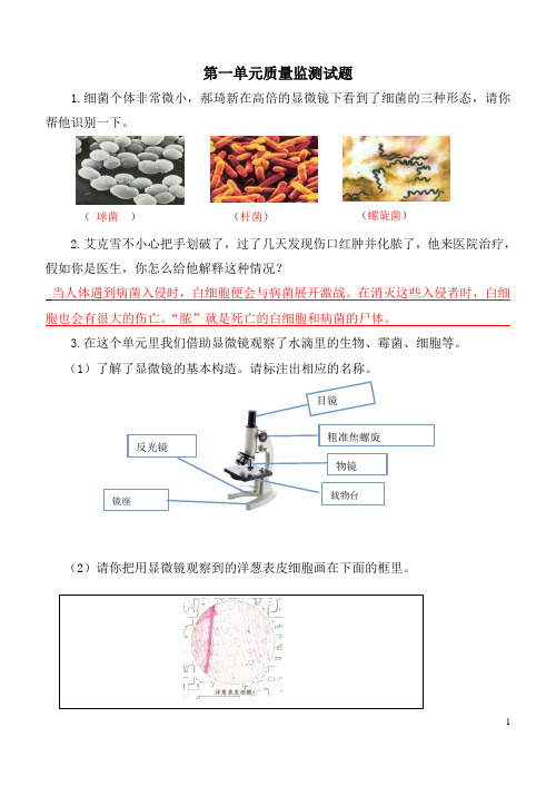 苏教版科学六年级上册单元测试题答案