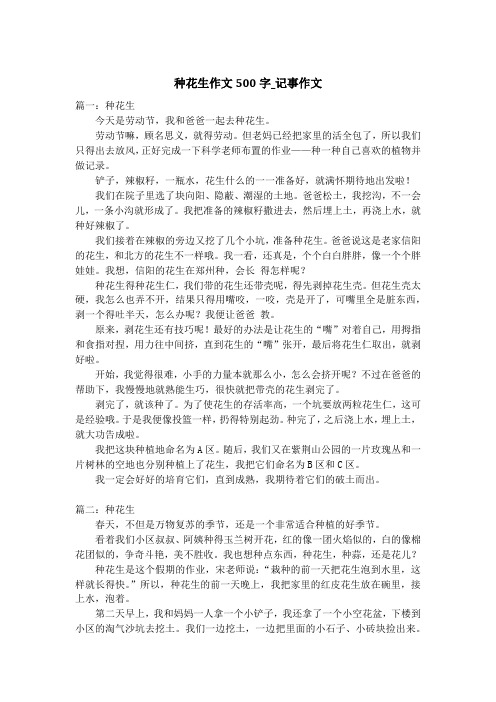 种花生作文500字_记事作文