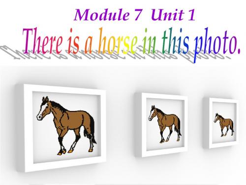 There-is-a-horse-in-this-photo-反反复复