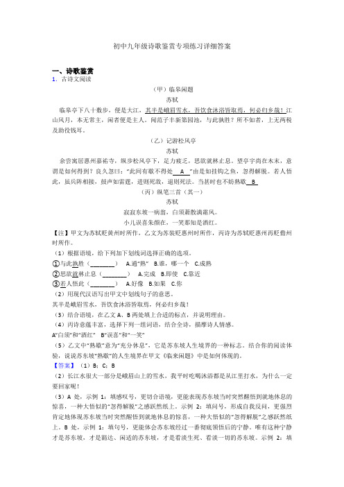 初中九年级诗歌鉴赏专项练习详细答案