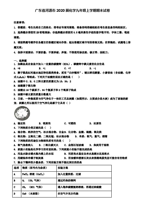 广东省河源市2020届化学九年级上学期期末试卷