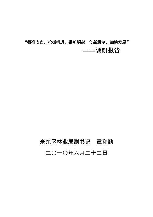 找准支点抢抓机遇乘势崛起创新机制加快发展调研报告
